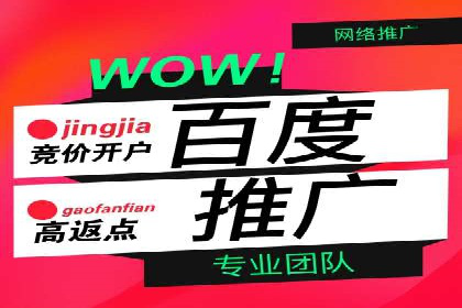 百度竞价推广案例：品牌崛起之路